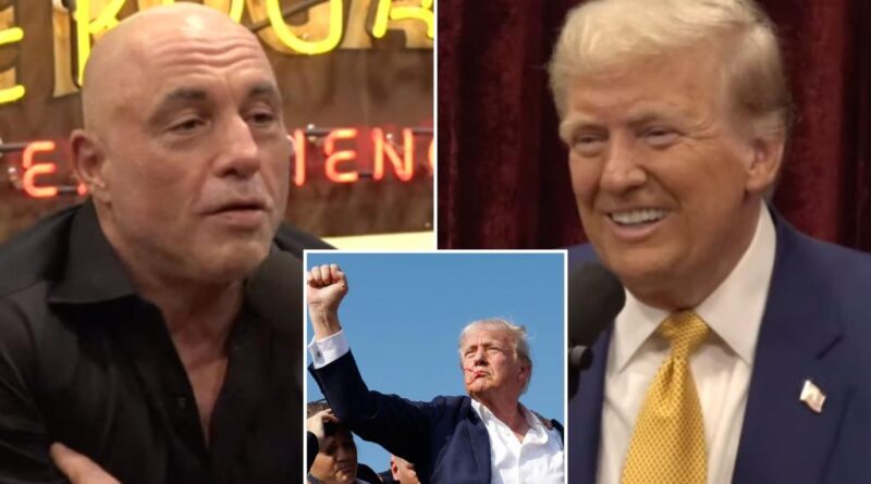Joe Rogan reveals why he finally agreed to interview Trump on ‘The Joe Rogan Experience’ podcast